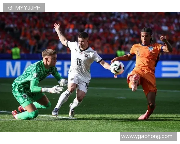 法国与葡萄牙精彩对决11月15日比赛录像回顾与分析 法国与葡萄牙精彩对决11月15日比赛录像回顾与分析